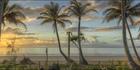 Castaways Resort - Mission Beach - QLD H (PBH4 00 14628)